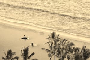 La conservación de océanos genera recompensas para huéspedes de The Four Seasons