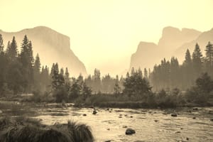 Landscape Collectors (Tribu estratégica para Live Aqua y The Explorean)