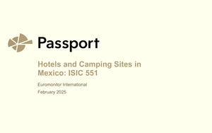 Reporte: Hotels and Camping Sites in Mexico (Febrero 2025)